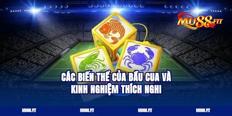 Các biến thể của bầu cua và kinh nghiệm thích nghi
