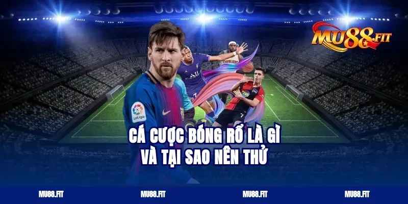 Cá Cược Bóng Rổ Là Gì Và Tại Sao Nên Thử