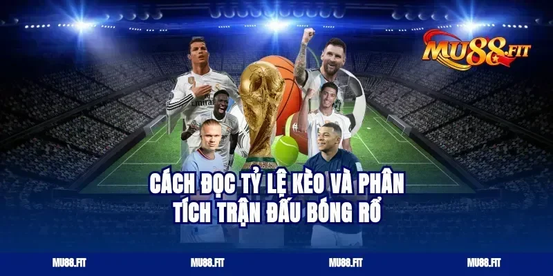 Cách Đọc Tỷ Lệ Kèo Và Phân Tích Trận Đấu Bóng Rổ