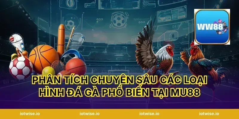 Phân tích chuyên sâu các loại hình đá gà phổ biến tại Mu88