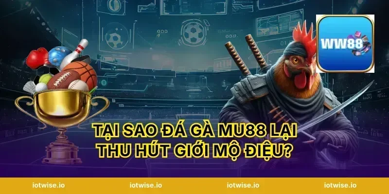 Tại sao đá gà Mu88 lại thu hút giới mộ điệu?