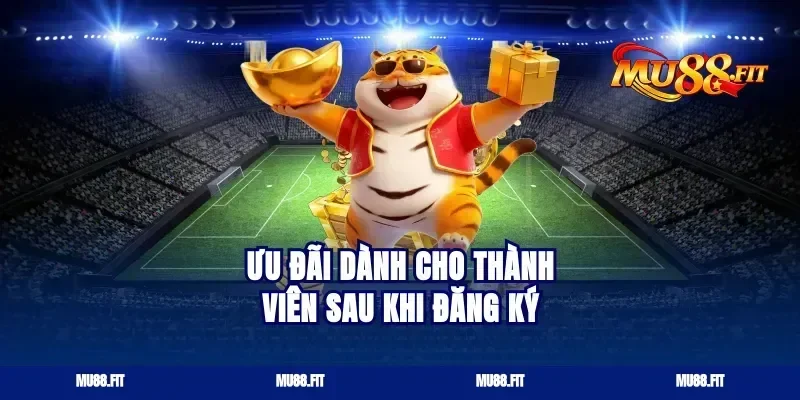 Ưu Đãi Dành Cho Thành Viên Sau Khi Đăng Ký