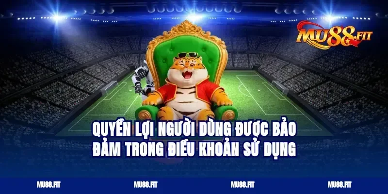 Quyền lợi người dùng được bảo đảm trong điều khoản sử dụng