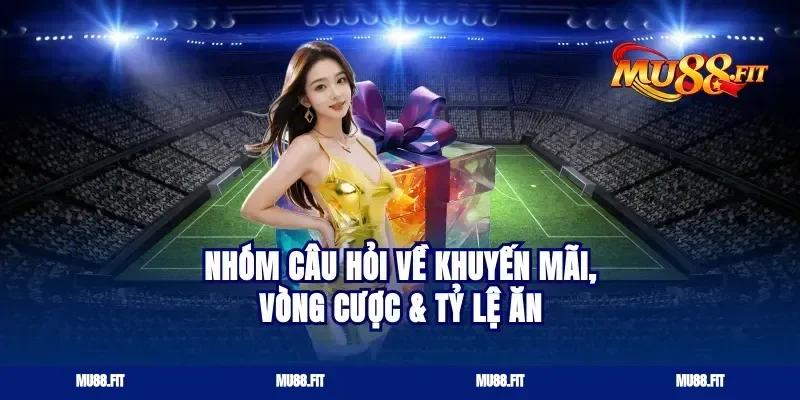 Nhóm câu hỏi về khuyến mãi, vòng cược & tỷ lệ ăn