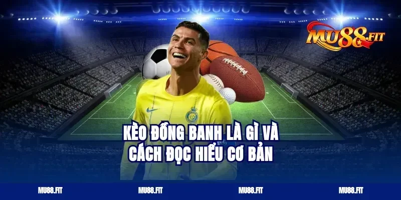 kèo đồng banh là gì và cách đọc hiểu cơ bản