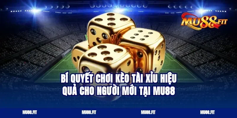 Bí quyết chơi kèo tài xỉu hiệu quả cho người mới tại Mu88