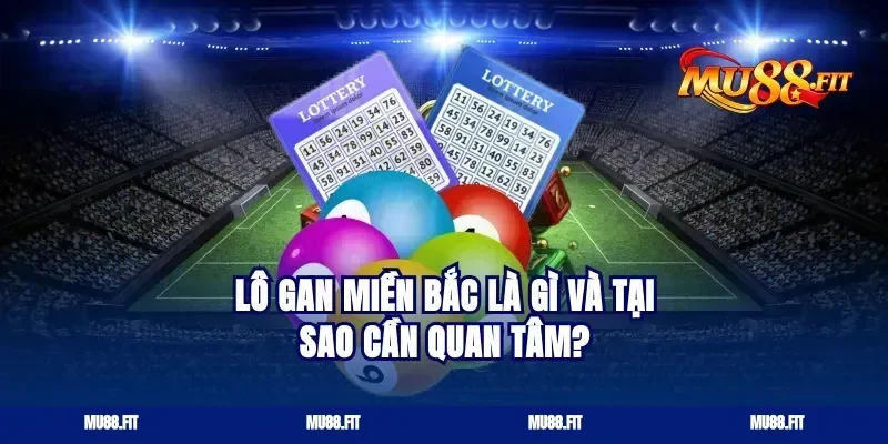 Lô gan miền Bắc là gì và tại sao cần quan tâm?
