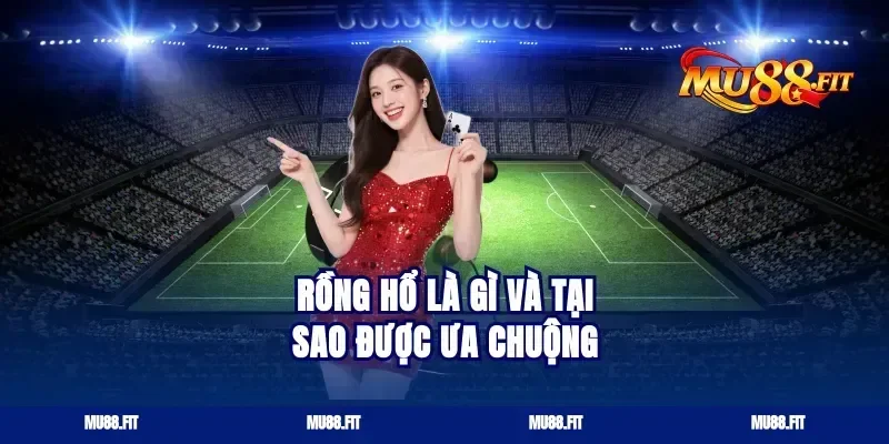 Rồng Hổ Là Gì Và Tại Sao Được Ưa Chuộng