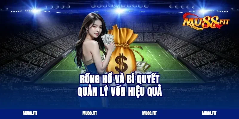 Rồng Hổ Và Bí Quyết Quản Lý Vốn Hiệu Quả