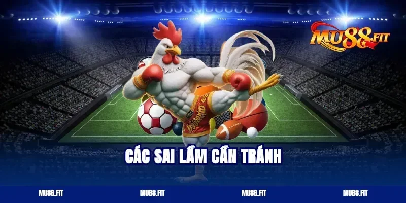Các sai lầm cần tránh