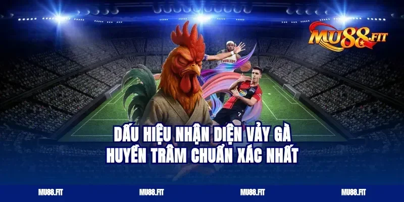 Dấu hiệu nhận diện vảy gà huyền trâm chuẩn xác nhất