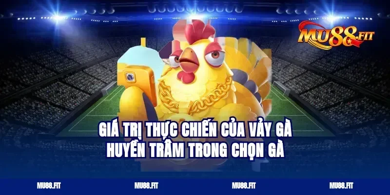 Giá trị thực chiến của vảy gà huyền trâm trong chọn gà