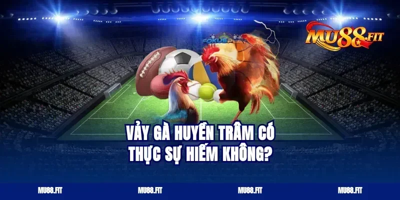Vảy gà huyền trâm có thực sự hiếm không?