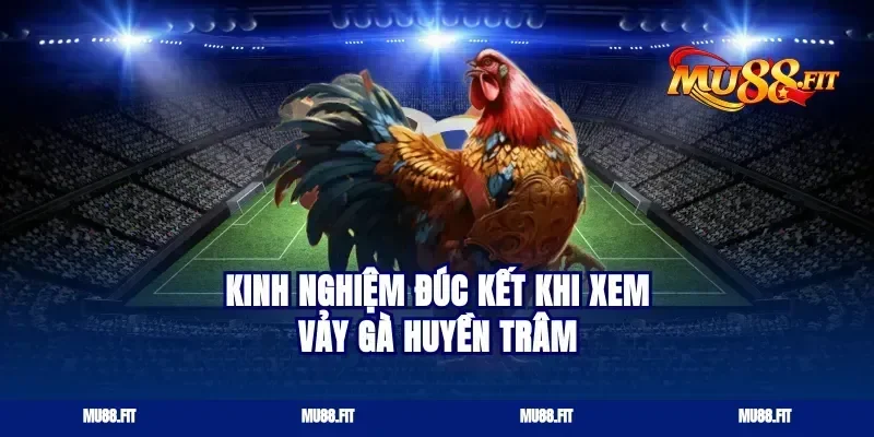 Kinh nghiệm đúc kết khi xem vảy gà huyền trâm