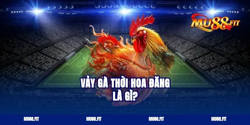Vảy gà thời hoa đăng là gì?