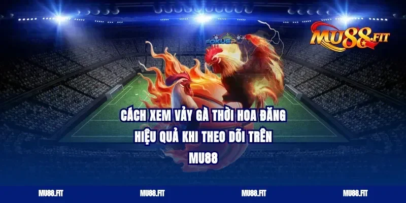 Cách xem vảy gà thời hoa đăng hiệu quả khi theo dõi trên Mu88