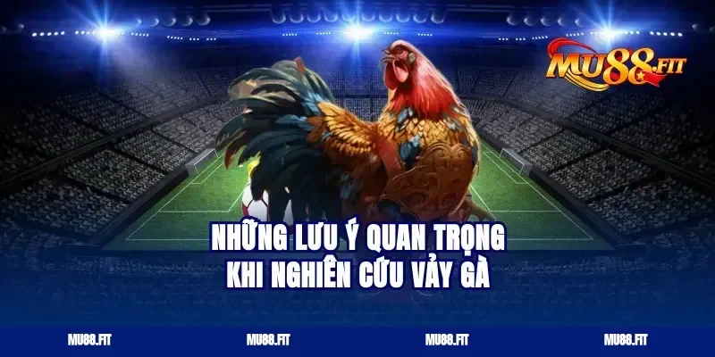 Những lưu ý quan trọng khi nghiên cứu vảy gà