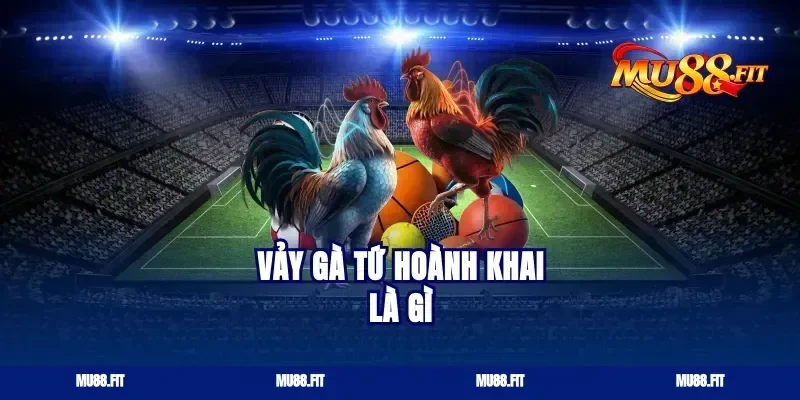Vảy Gà Tứ Hoành Khai Là Gì