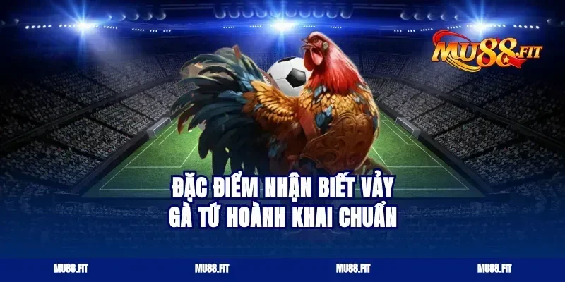 Đặc Điểm Nhận Biết Vảy Gà Tứ Hoành Khai Chuẩn