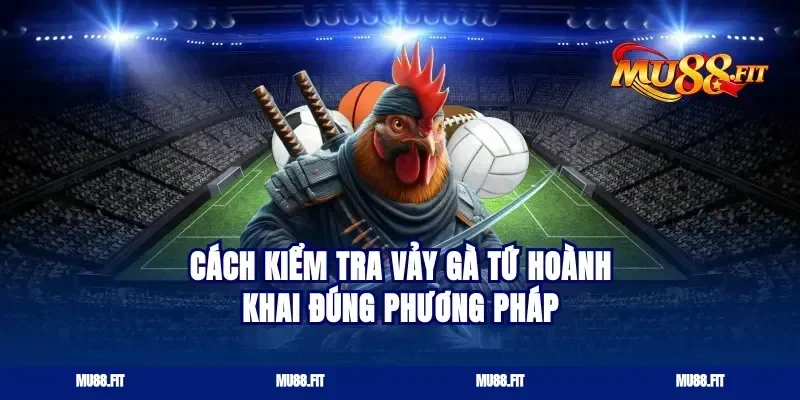 Cách Kiểm Tra Vảy Gà Tứ Hoành Khai Đúng Phương Pháp